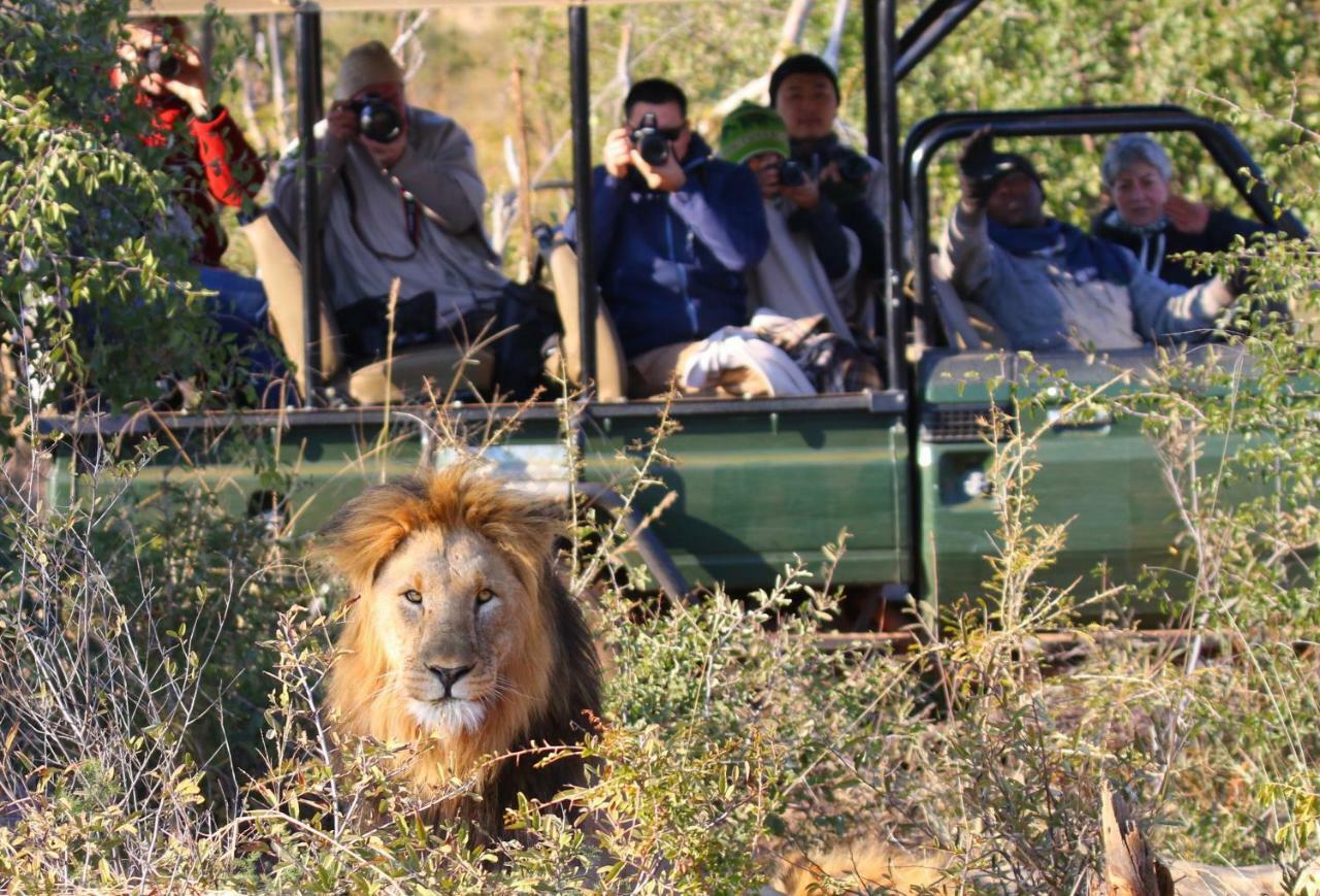 Parsons Hilltop Safari Camp Rezervace Balule Exteriér fotografie