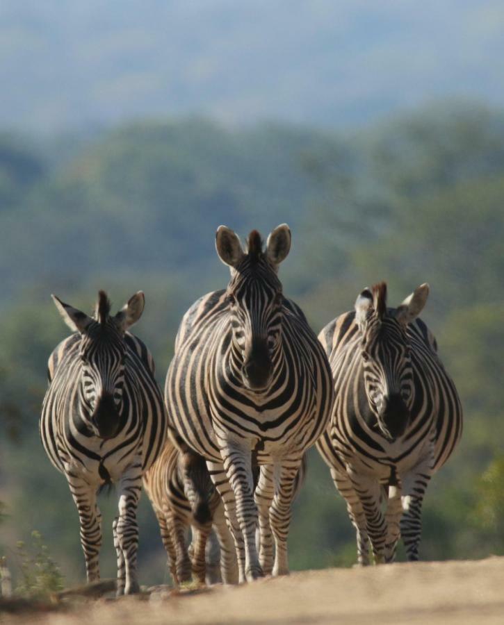 Parsons Hilltop Safari Camp Rezervace Balule Exteriér fotografie