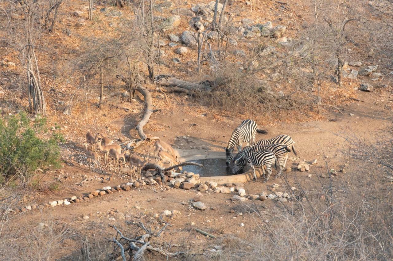 Hotel Parsons Hilltop Safari Camp Rezervace Balule Exteriér fotografie